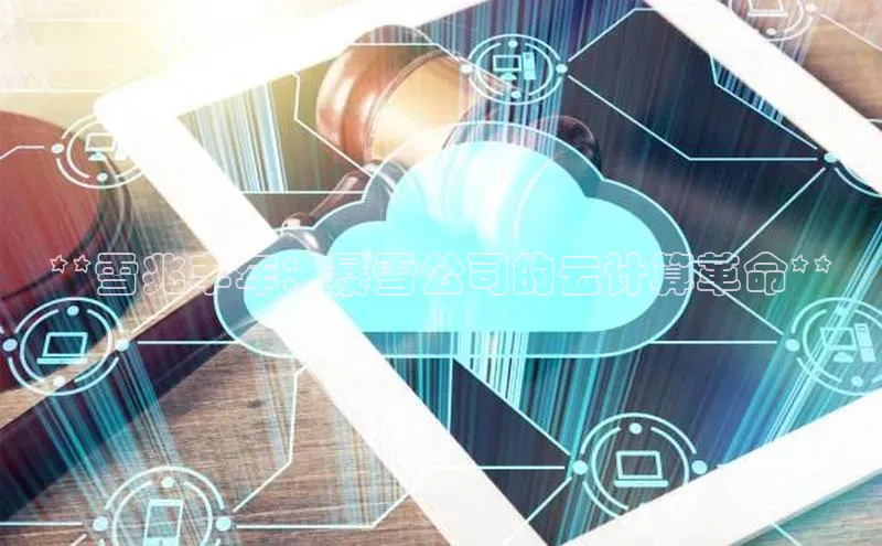 意昂458同城**雪兆丰年：暴雪公司的云计算革命**