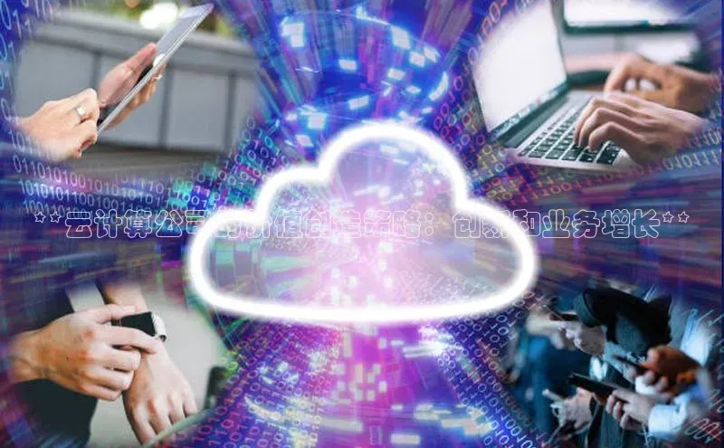 意昂体育4代理赛富乐斯**云计算公司的价值创造策略：创新和业务增长**