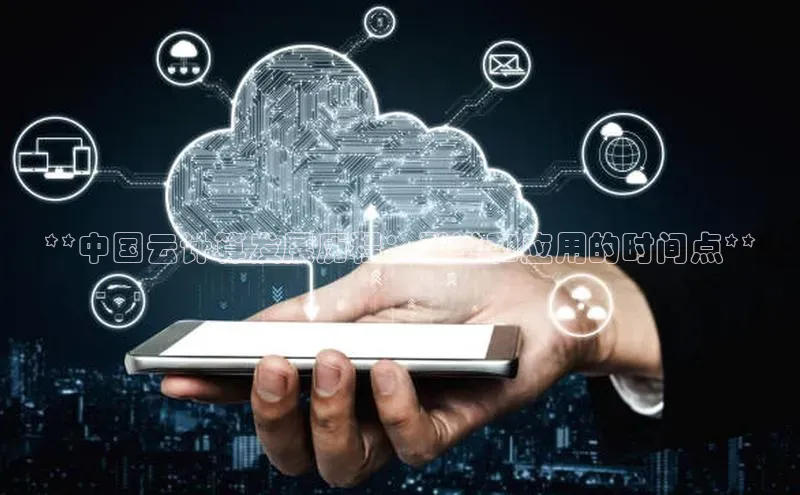 意昂4京东**中国云计算发展历程：引进和应用的时间点**