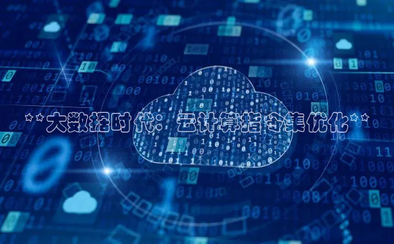 EON4登录百度社团赞助平台**大数据时代：云计算指令集优化**