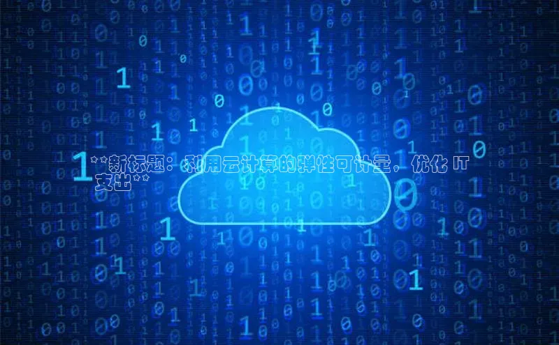 意昂体育4路畅科技**新标题：利用云计算的弹性可计量，优化 IT
 支出**