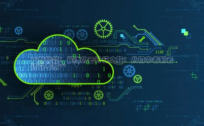 意昂体育4阿里尔公司**新标题：崔康的云计算之旅：从初学者到云
计算专家**