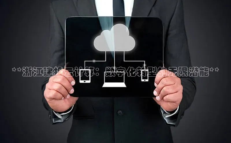 EON体育4登录百度智能门户**浙江建投云计算：数字化转型的无限潜能**