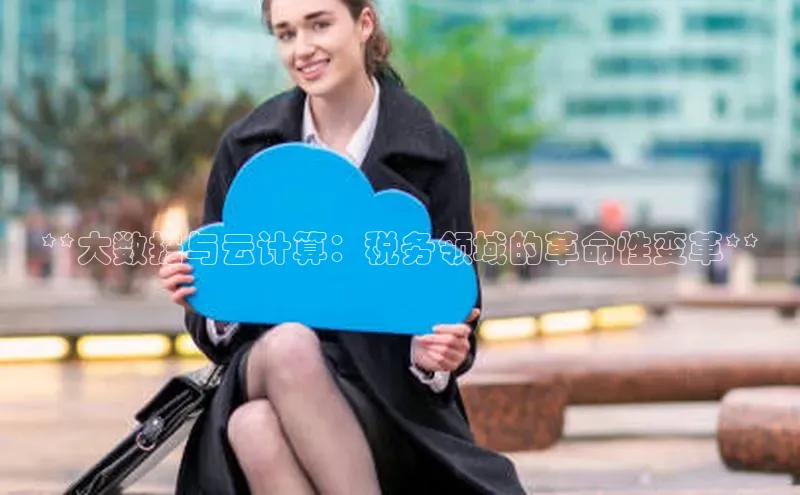 意昂体育4登录百度信誉**大数据与云计算：税务领域的革命性变革**