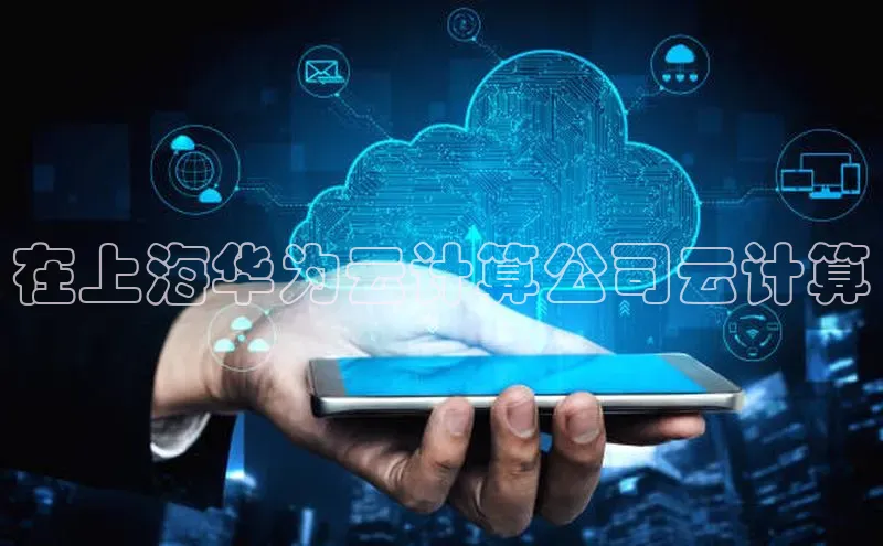 意昂体育4官网挪威主权基金在上海华为云计算公司云计算