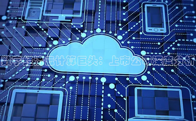 意昂4代理普信公司数字经济云计算巨头：上市公司深度分析