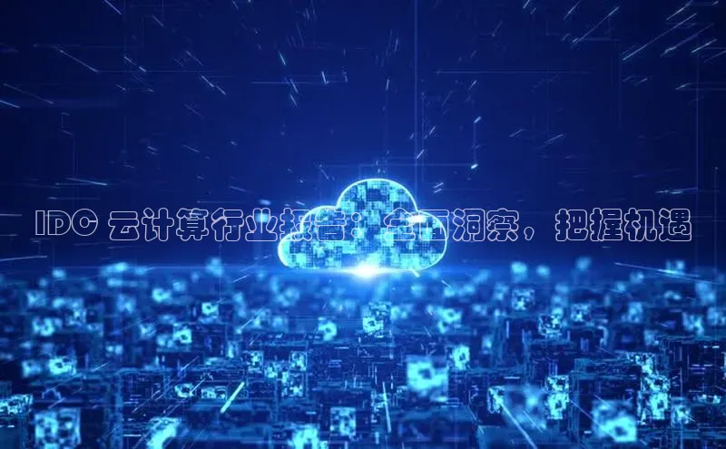 意昂体育4官网挪威主权基金IDC 云计算行业报告：全面洞察，把握机遇