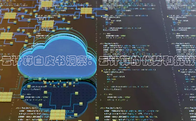 意昂体育4招商顺丰云计算白皮书洞察：云计算的优势和挑战