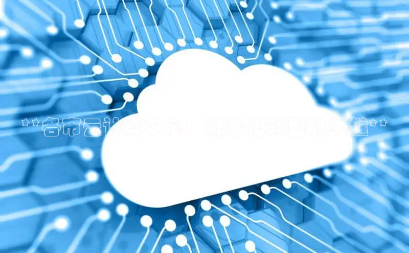 意昂体育4路畅科技**各市云计算中心：数字化转型的关键**