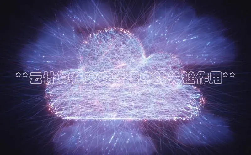 意昂4代理云创智行**云计算在灾难管理中的关键作用**