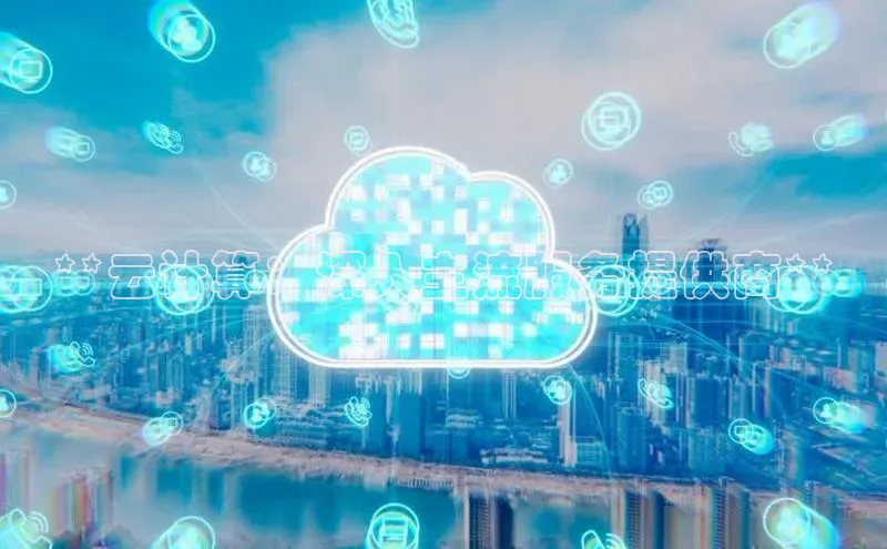 意昂体育4登录江铃新能源**云计算：深入主流服务提供商**