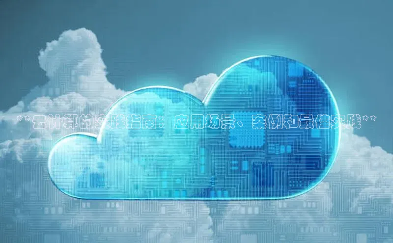 EON4登录百度社团赞助平台**云计算的实践指南：应用场景、案例和最佳实践**